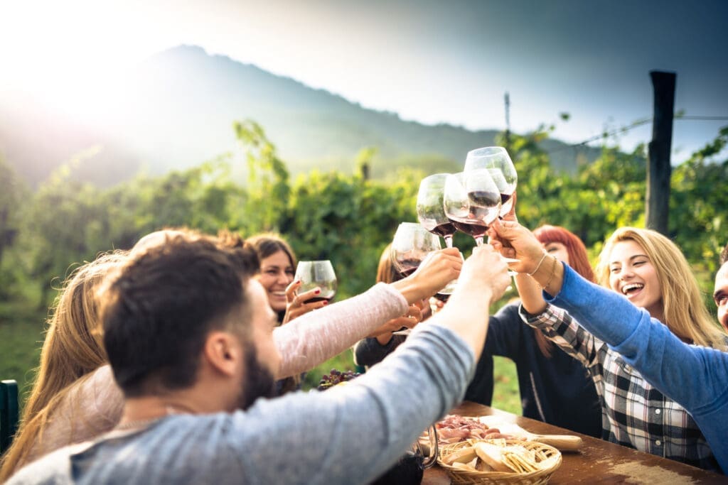 Mehrere junge Menschen stoßen mit ihrem Glas Wein in den Weinbergen an.